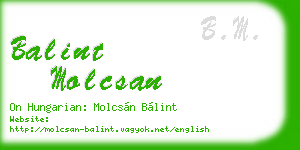 balint molcsan business card